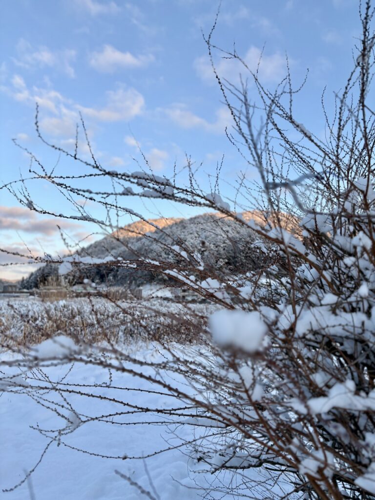 冬の写真