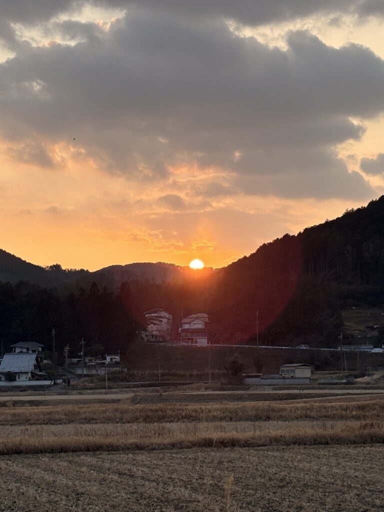 秋の写真